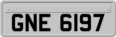 GNE6197