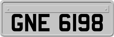 GNE6198