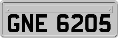 GNE6205
