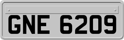 GNE6209