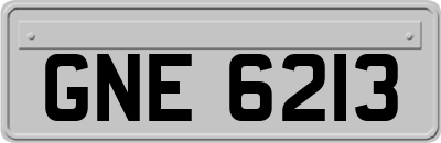 GNE6213