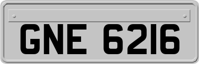 GNE6216