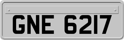 GNE6217