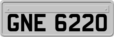 GNE6220