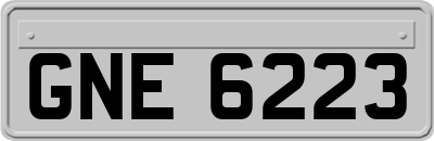 GNE6223