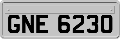 GNE6230