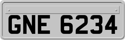 GNE6234