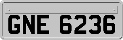 GNE6236
