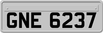 GNE6237
