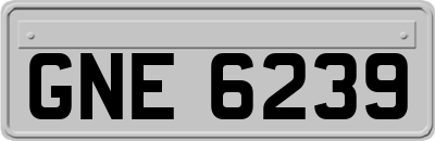 GNE6239