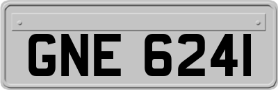 GNE6241