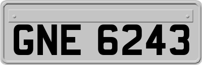 GNE6243