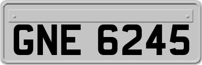 GNE6245