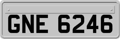 GNE6246