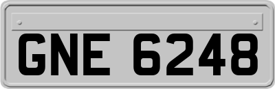 GNE6248