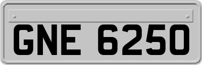 GNE6250