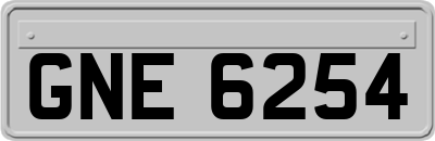 GNE6254