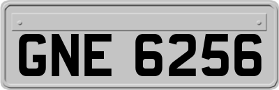 GNE6256