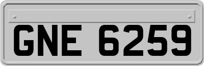 GNE6259