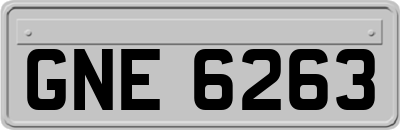 GNE6263