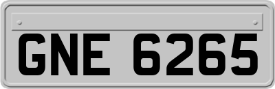 GNE6265