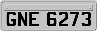 GNE6273