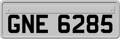 GNE6285