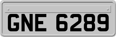 GNE6289