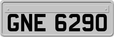 GNE6290