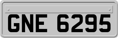 GNE6295