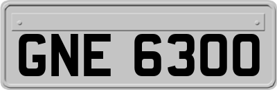 GNE6300