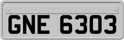 GNE6303