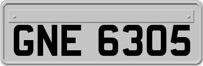 GNE6305