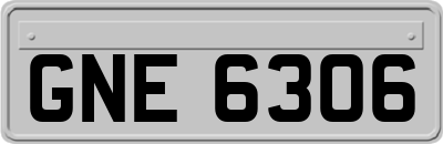 GNE6306