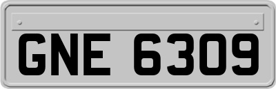 GNE6309