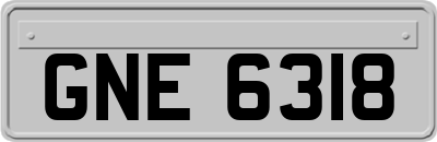 GNE6318