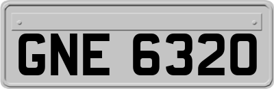 GNE6320