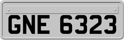 GNE6323