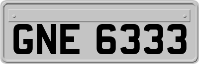 GNE6333