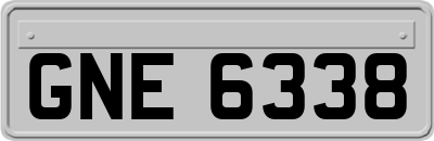 GNE6338