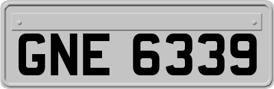 GNE6339