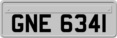 GNE6341