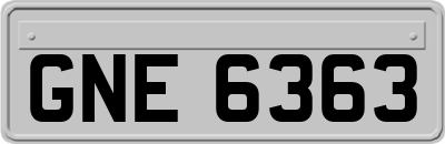 GNE6363