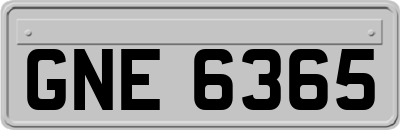 GNE6365