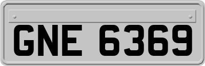 GNE6369