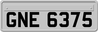 GNE6375