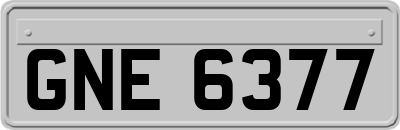 GNE6377