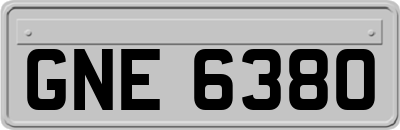 GNE6380