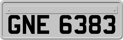 GNE6383