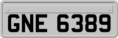 GNE6389